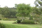 Camoowealresidential-landscaping-40.jpg; ?>