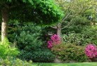 Camoowealresidential-landscaping-74.jpg; ?>